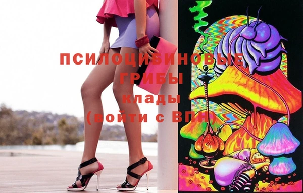 гидра Беломорск