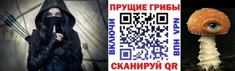 где купить наркоту  Няндома  Галлюциногенные грибы мицелий 